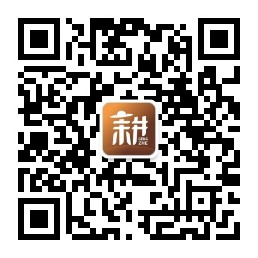 扫码关注